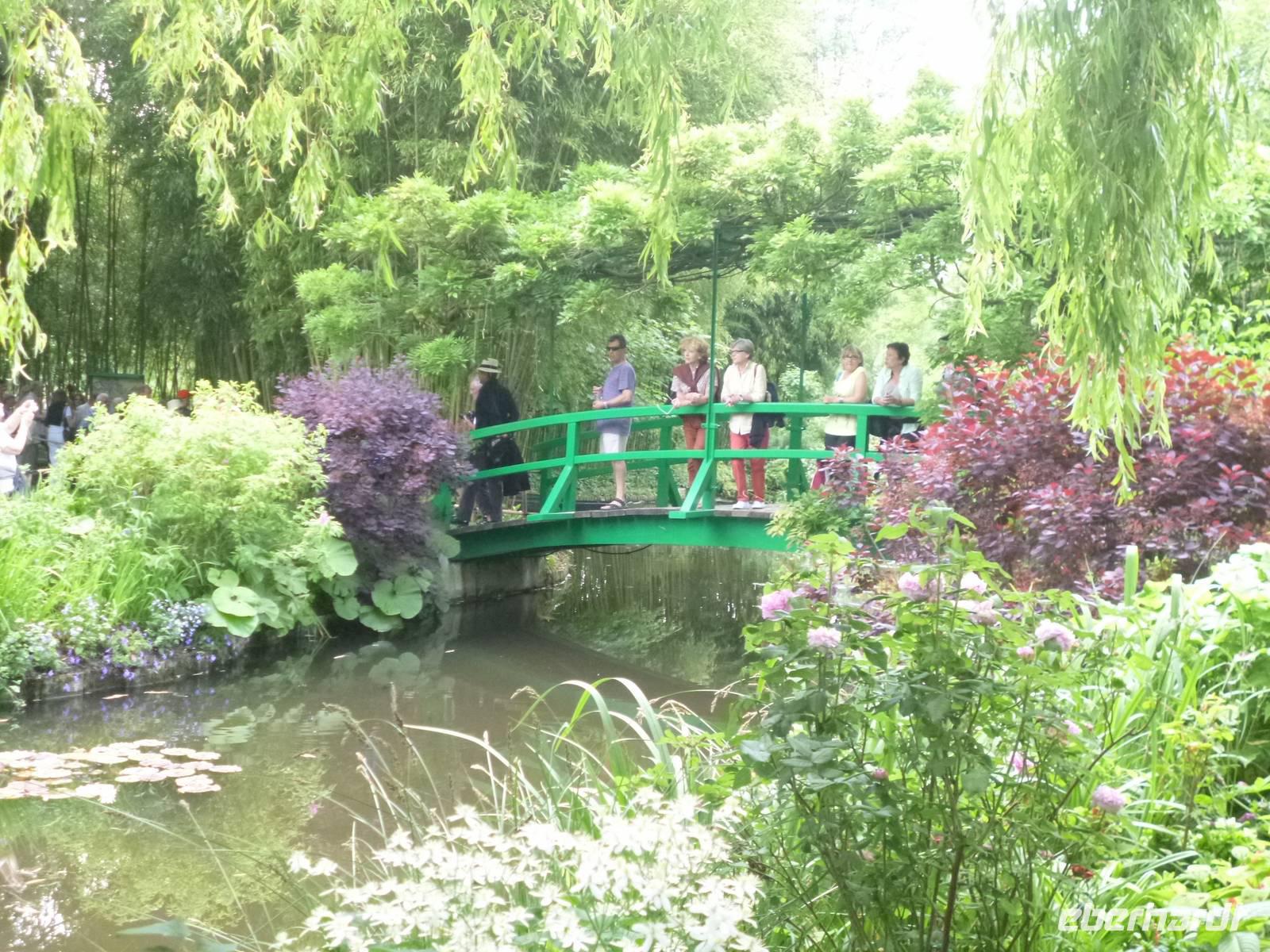 Normandie Gartenreise Juni 2014 (127)