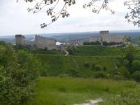 Normandie Gartenreise Juni 2014 (136)