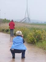 Normandie Gartenreise Juni 2014 (174)