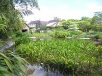 Normandie Gartenreise Juni 2014 (205)