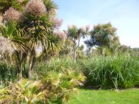 Normandie Gartenreise Juni 2014 (218)