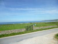 Normandie Gartenreise Juni 2014 (233)