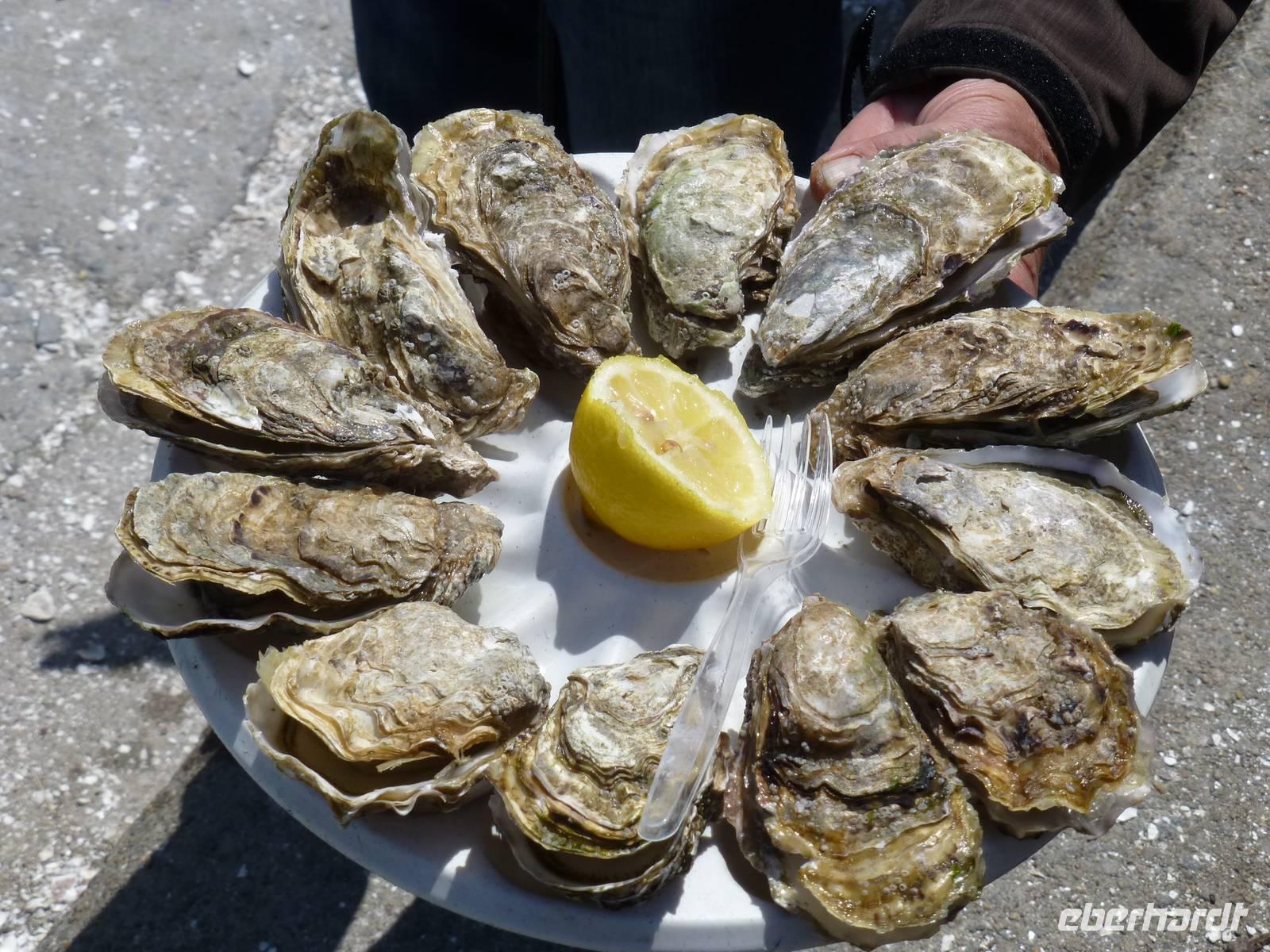 Austernverkostung in Cancale