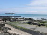 Cancale - Austernbänke in Bucht