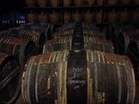 Bei Hennessy in Cognac