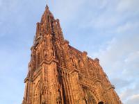 Das Starßburger Münster in der Abendsonne