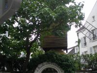 Starundgang Montmartre Viertel