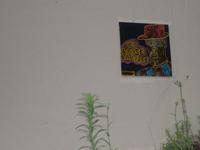 Detail an einer Hauswand