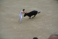 Stierkampf in der Arena von Arles