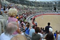 Stierkampf in der Arena von Arles