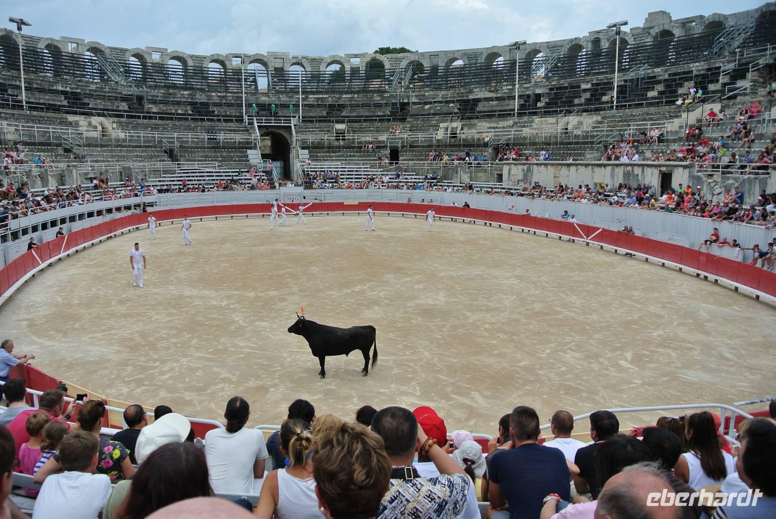 Stierkampf in der Arena von Arles