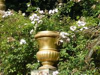  Enkelados-Bassin- Blütenpracht