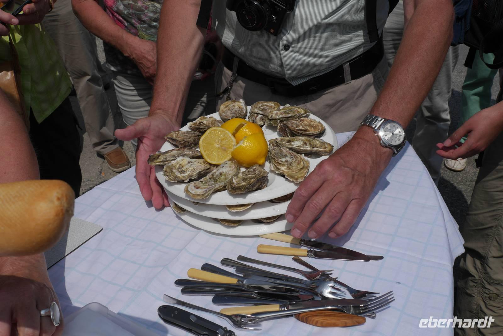 176.Cancale Austernprobe