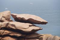 222.Rosa Granitküste