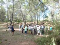 Steinbruch von Bibémus 