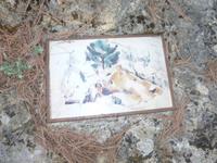 Steinbruch von Bibémus 