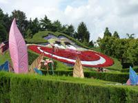 Alice's Curious Labyrinth