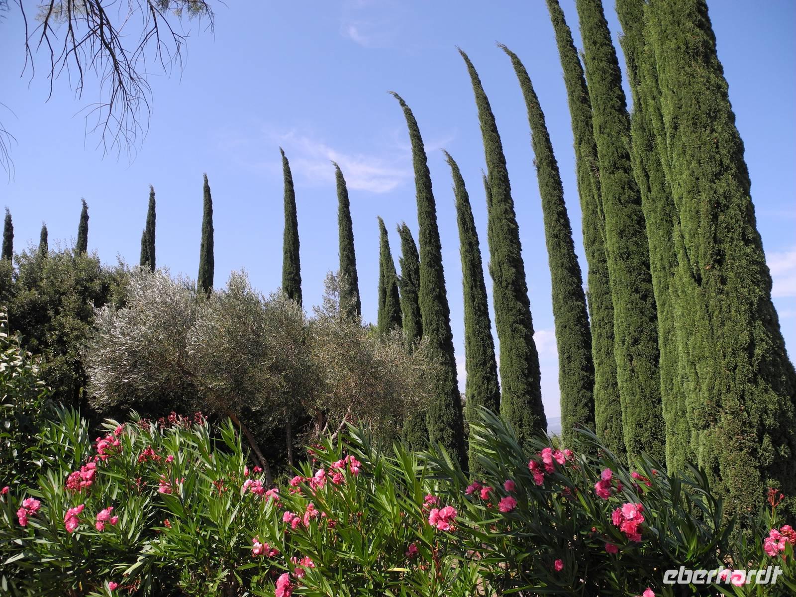 Parkplatz bei Carcassone