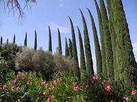 Parkplatz bei Carcassone