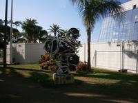 Filmrolle von Cannes 