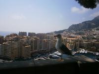 in Monaco 