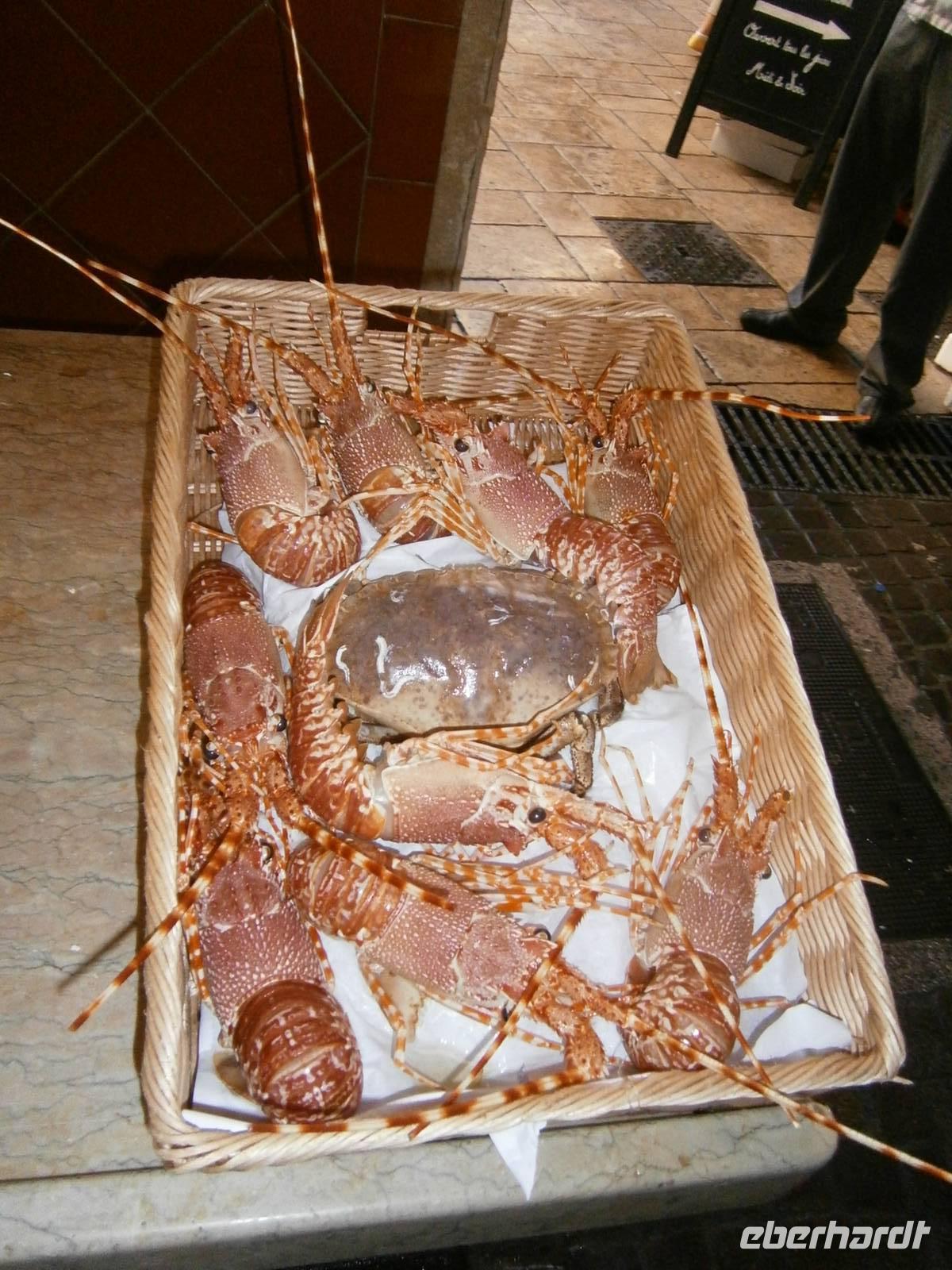 Fischmarkt St.Tropez 