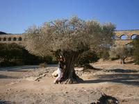 Pont du gard 