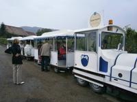 Bestandteil des Weinseminars in Dambach la Ville, eine Fahrt durch den Ort und die Weinfelder