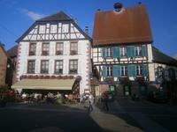 Ein leeres Storchennest, der Storch ein Wappentier des Elsaß