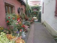 Auf dem Weg zu einem Hinterhof