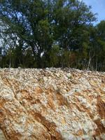 interessantes gestein