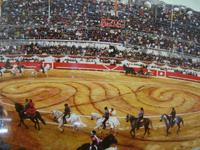  Fotos vom Stierkampf in der röm.Arena