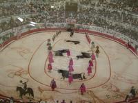 Vorstellung der Torreros