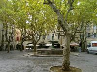 der alte Brunnen auf dem Markt, gesäumt von Platanen