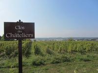 Weinberge in der Nähe von Amboise