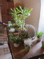 Küche vom Schloss Chenoceau