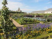 Im Schlosspark von Villandry
