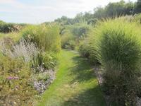 Im Schlosspark von Villandry