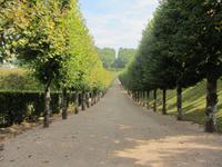 Im Schlosspark von Villandry