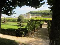 Im Schlosspark von Villandry