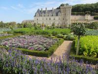 Im Schlosspark von Villandry