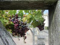 Im Schlosspark von Villandry