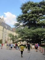 Erkundungstour in Tours