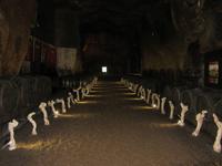 Weinprobe in Chinon