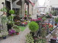 Blumenhändler in Saumur