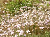 Wanderung zu Pointe du Raz