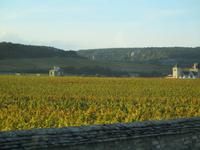 Clos Vougeot. Weinpresse