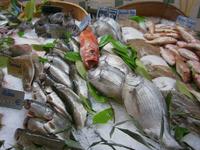 Markthalle von Versailles, reichhaltiges Angebot an Fisch und Meeresfrüchten
