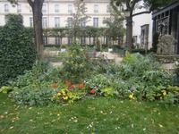 Schöne Grünanlagen zwischen den Adelspalästen im Maraisviertel