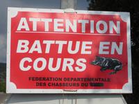 Achtung Wildschweine